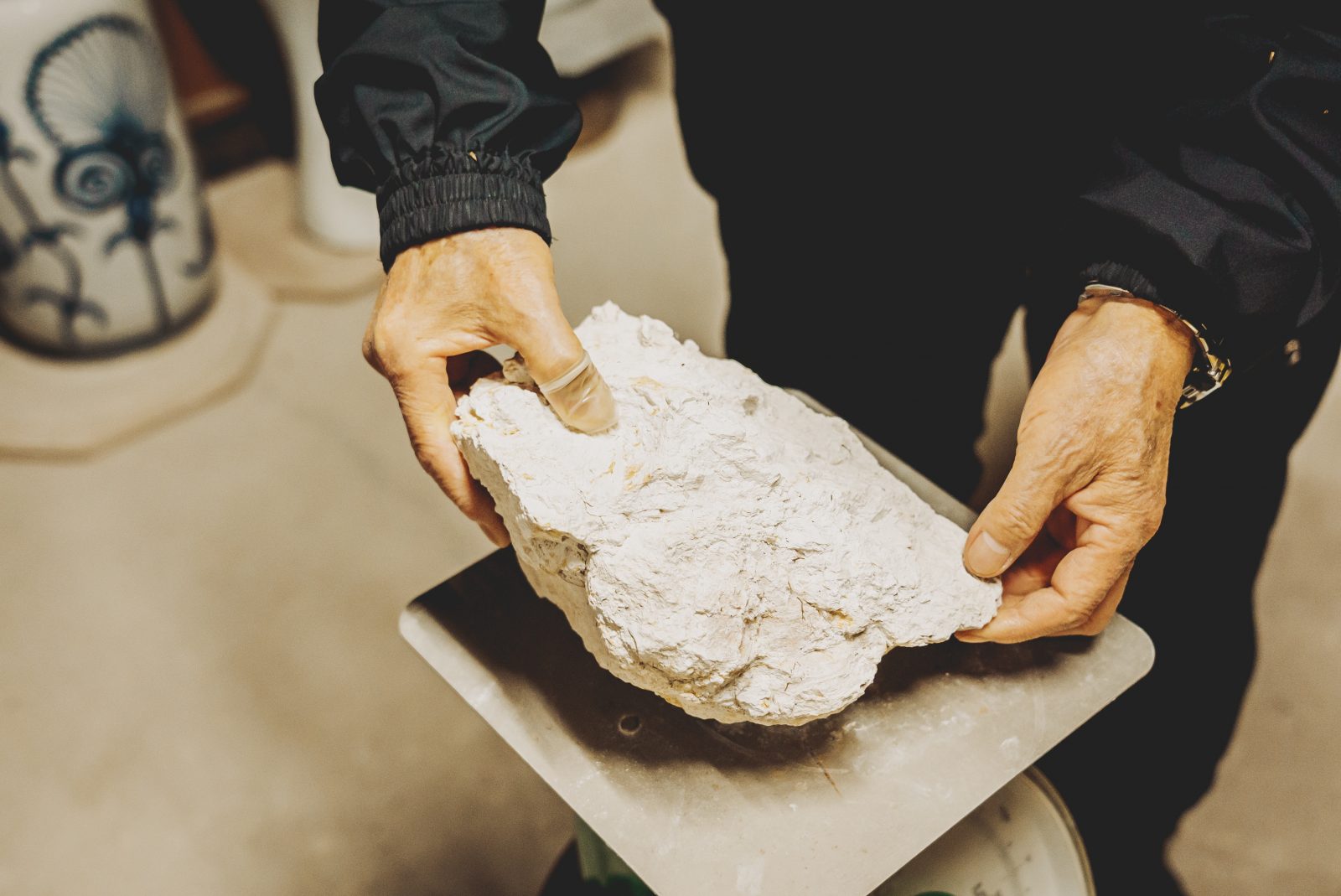 WSR interview #001：白潟八洲彦