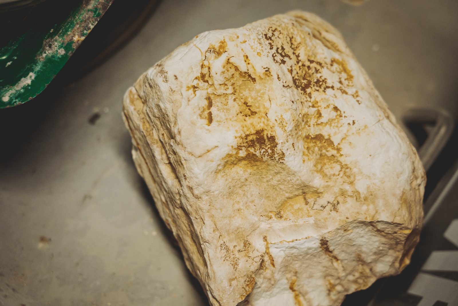 WSR interview #001：白潟八洲彦