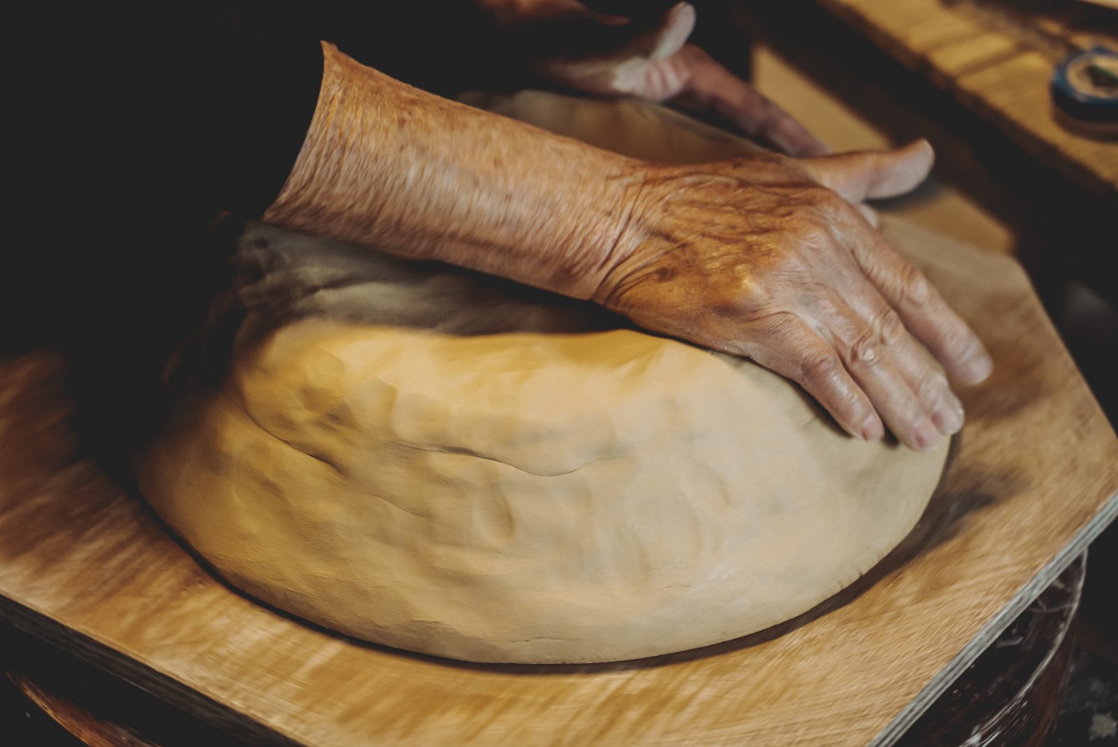 WSR interview #001：白潟八洲彦