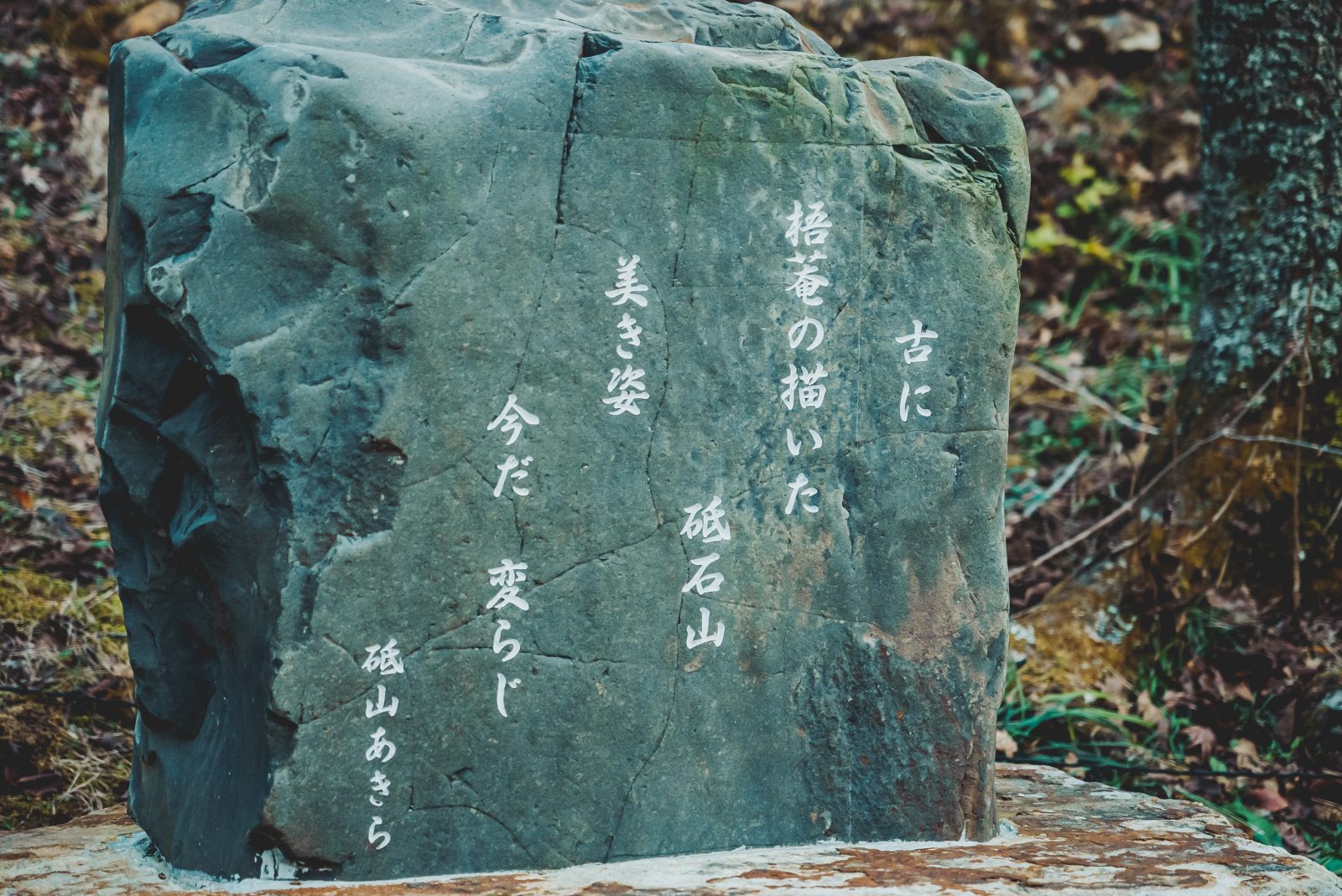 WSR interview #001：白潟八洲彦